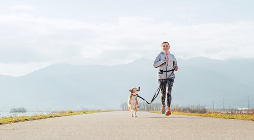 How to Keep Your Dog’s Back Happy (Because Yours Already Is)