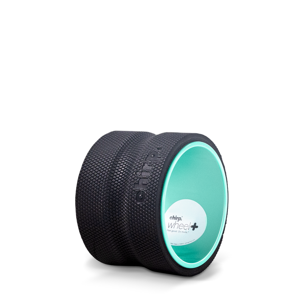 Chirp Wheel+ 6 inch Deep Tissue showing the spinal channel