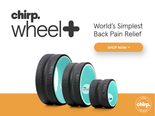 Using Assets as a Chirp Influencer