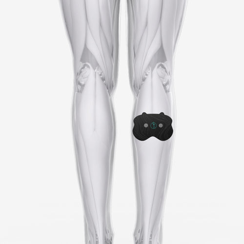 Chirp Halo Calf Pad Placement