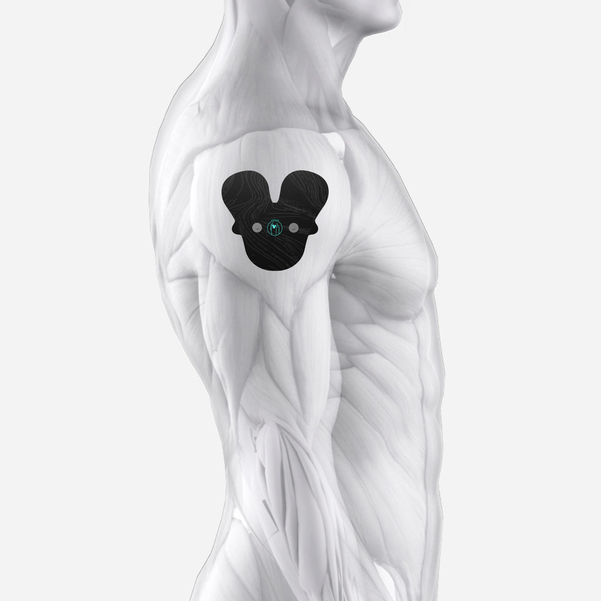 Chirp Halo Shoulder Pad Placement