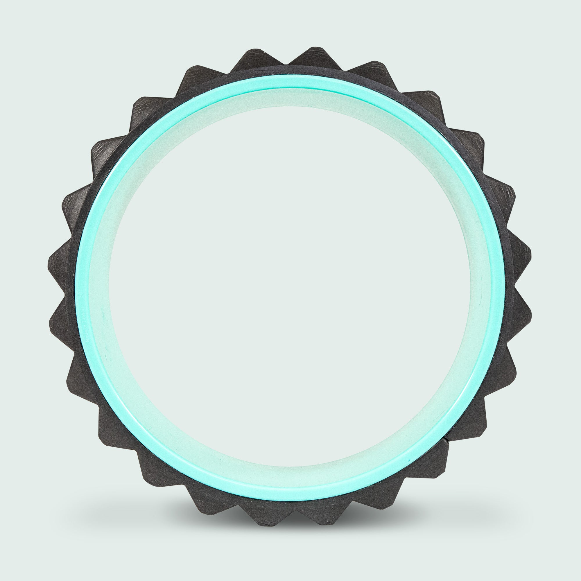 Chirp Wheel XR 10" Acupressure