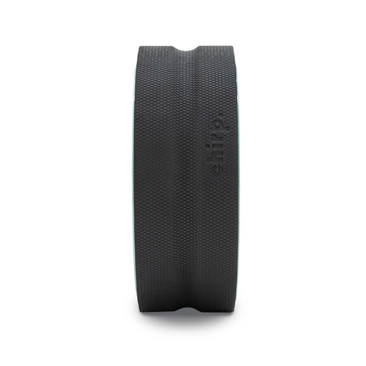 Chirp Wheel+ 12" Gentle