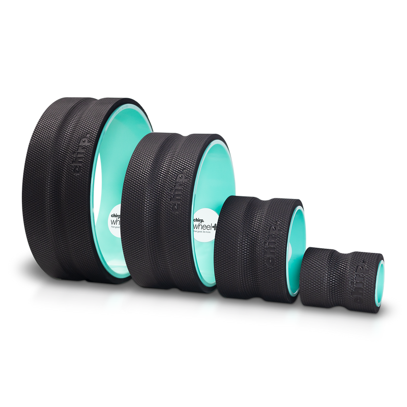 Chirp Wheel+ 4-Pack